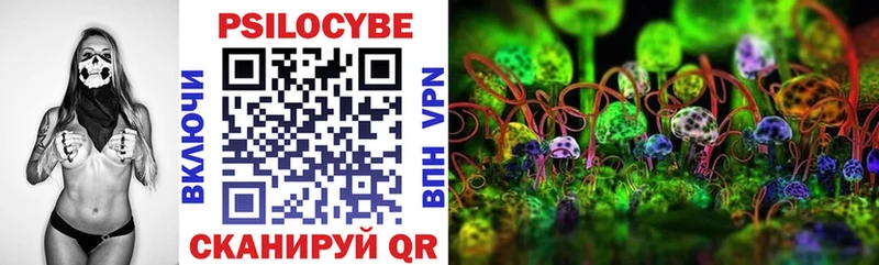 Псилоцибиновые грибы прущие грибы  Камышин 